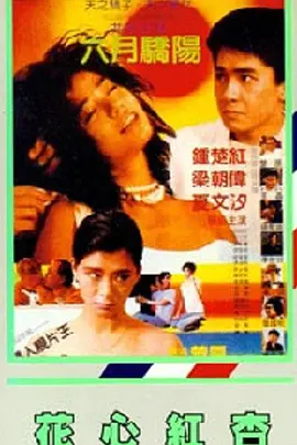 成人p站