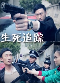 中文字幕视频在线