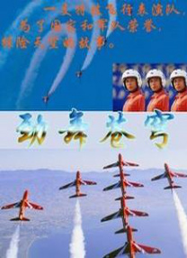 亚洲精品老司机福利在线播放