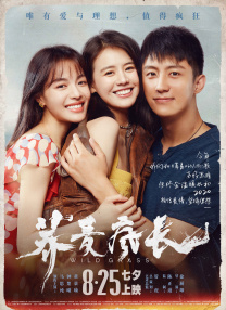 亚洲伊人久久大香线蕉啊