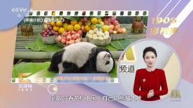 在线不卡亚洲